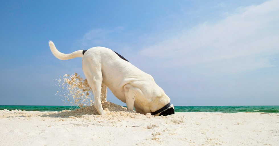 Finding commercial leads right under your nose